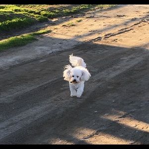 Meet your Posher, Dana